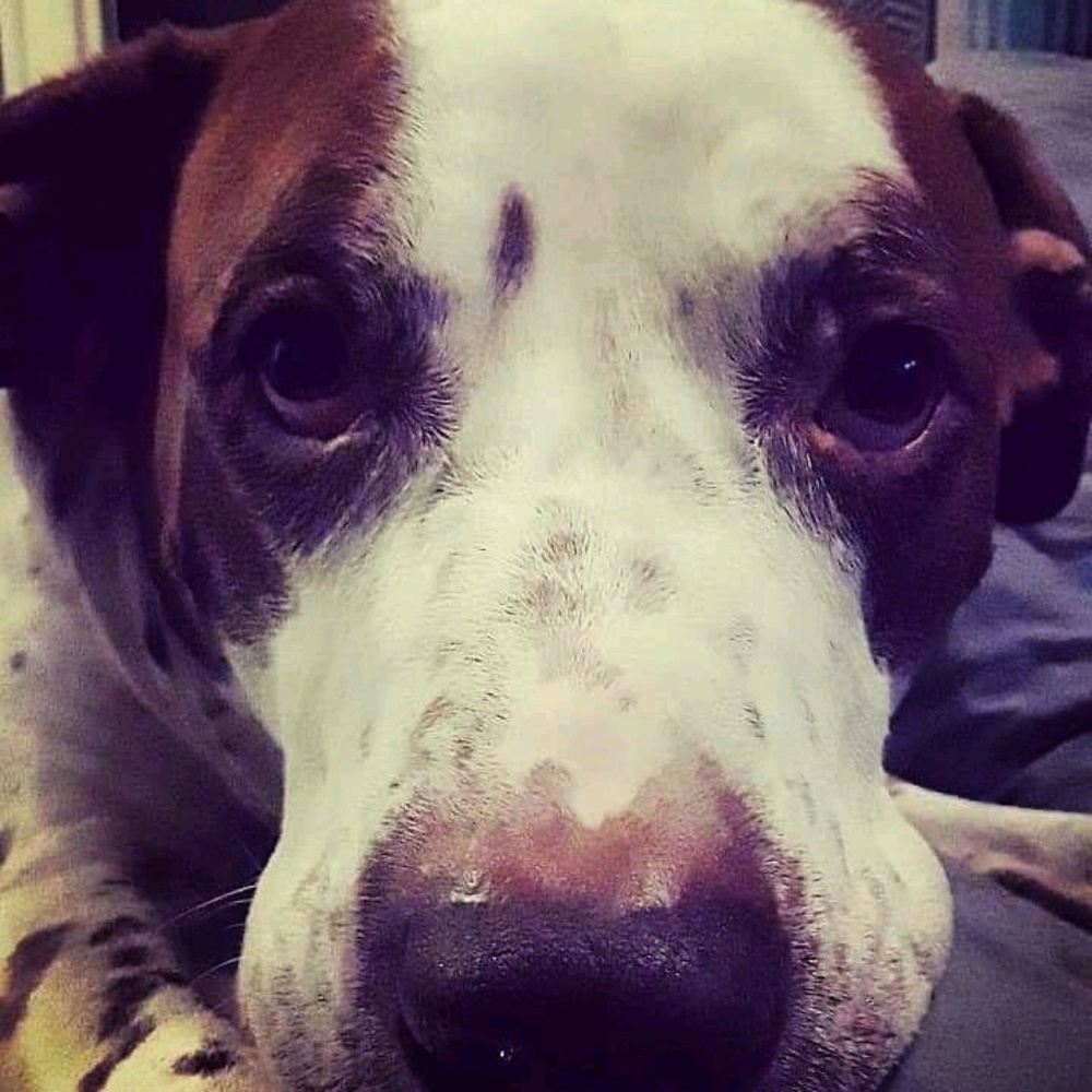 Meet your Posher, Jimmy